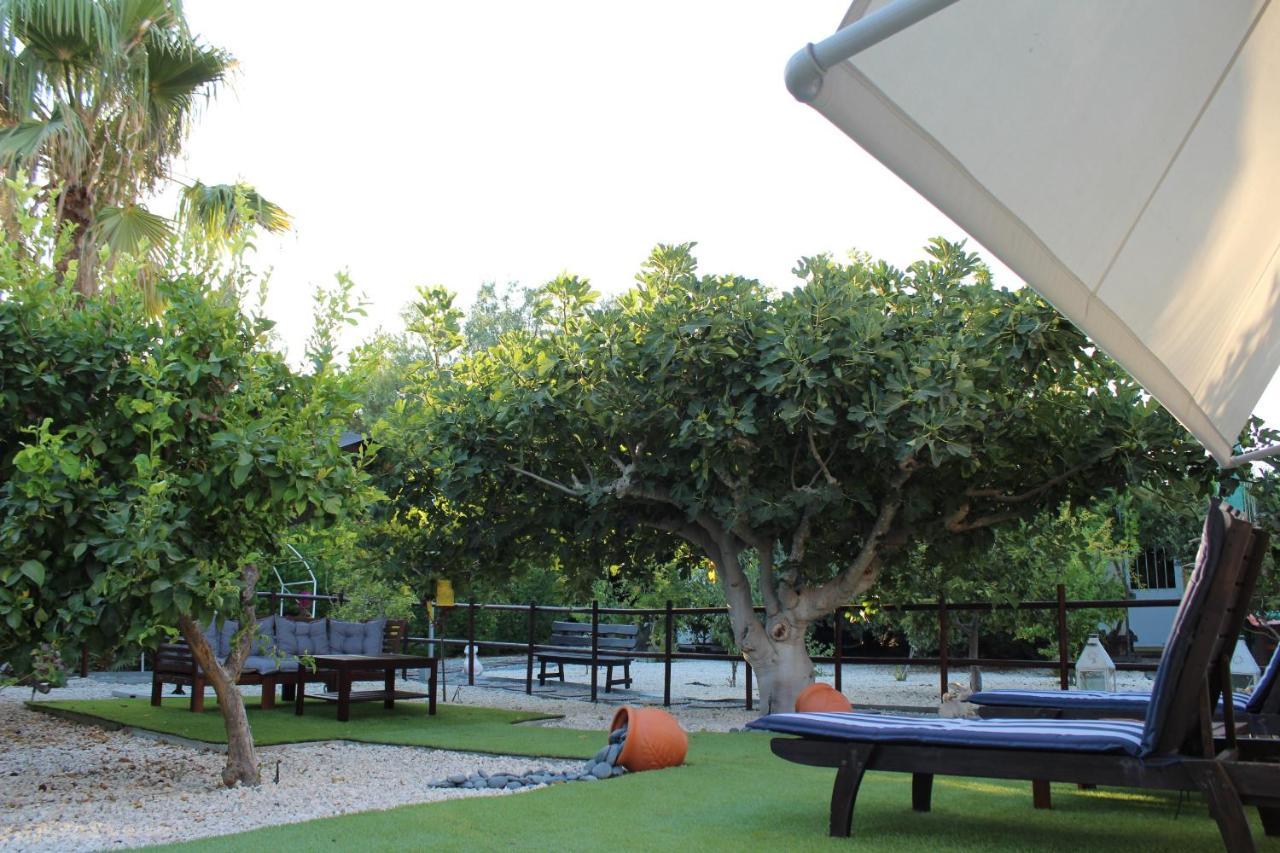 Willa St.George'S Country Retreat Limassol Zewnętrze zdjęcie